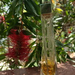 Salvatore Ferragamo pour Femme Eau de Parfum 100ml used vintage 2009
