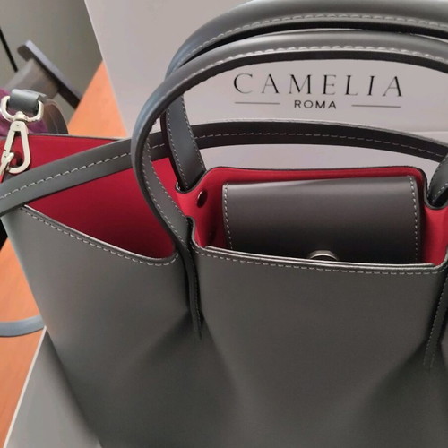 Camelia leather bag Italy new, graphite color
