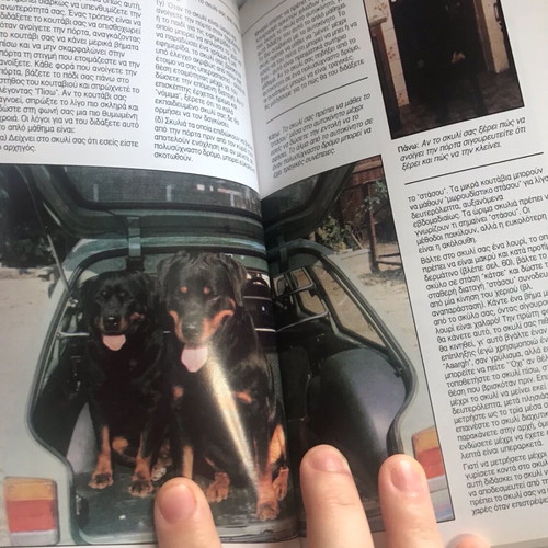 Rottweiler book like new, everything you need to know about Rottweilers