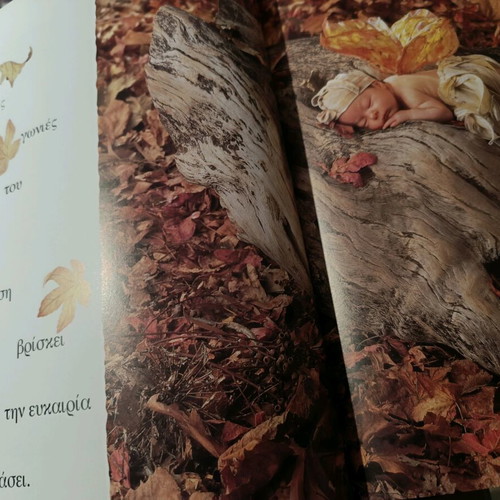 Book with photographic material by Anne Geddes new