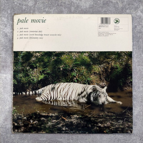Saint Etienne Pale Movie 12'' Maxi Single used, electronic