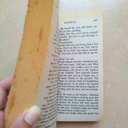 Secrecy by Belva Plain used English book