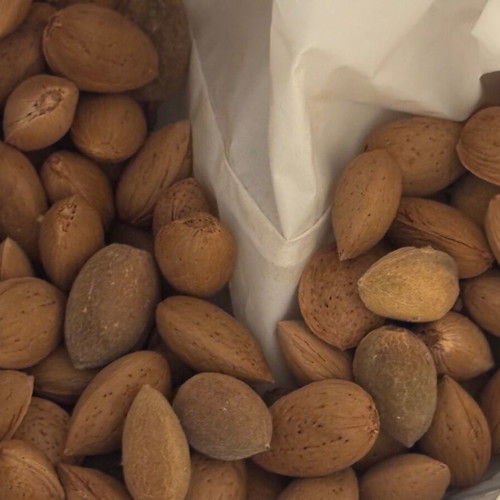 Organic almonds from Crete with shell