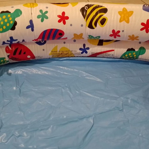 Inflatable children's pool with fish design used