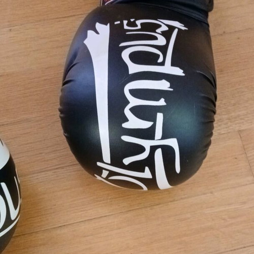 Olympus boxing martial arts gloves 12 Oz like new