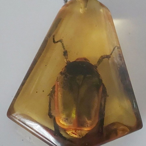 Pendant from synthetic amber with beetle inside like new