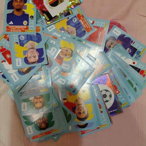Panini World Cup stickers pack