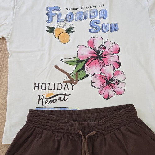 Zara T-shirt and dark brown culotte pants