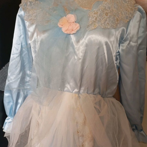 Victorian style carnival costume size 12 like new