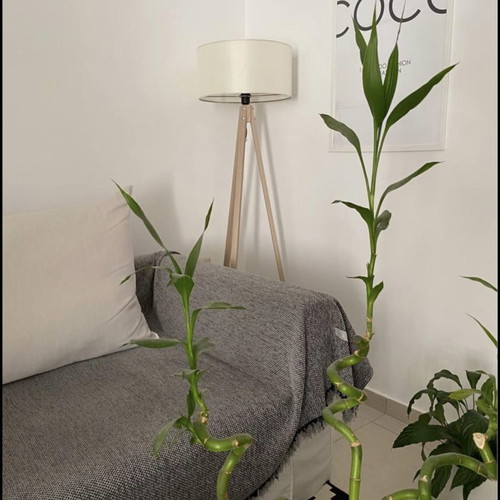 Floor lamp tripod with beige shade and wooden base new