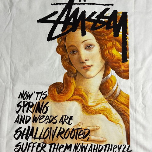 Stussy Spring Wings Tee size medium new, white