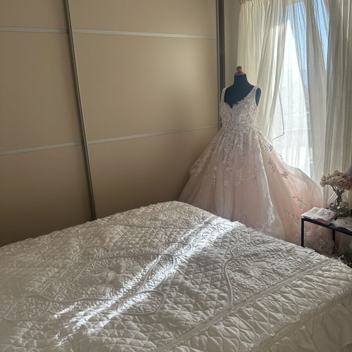Romantic princess line wedding dress with 3D lace blush ivory like new
