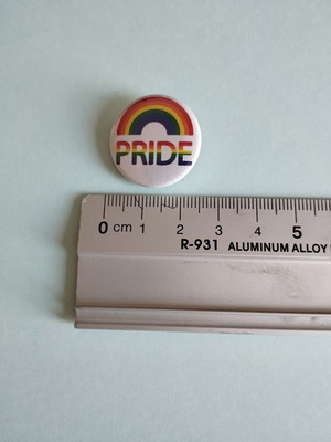 Pride Rainbow LGBTQ+ Pin new, size 25mm