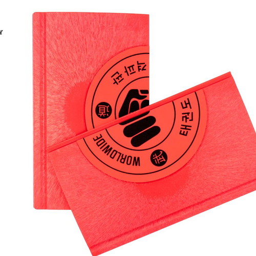 Red Reusable ABS Breaking Tile 25x22x0.7cm for Martial Arts