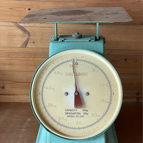 Vintage scale large in perfect turquoise color used