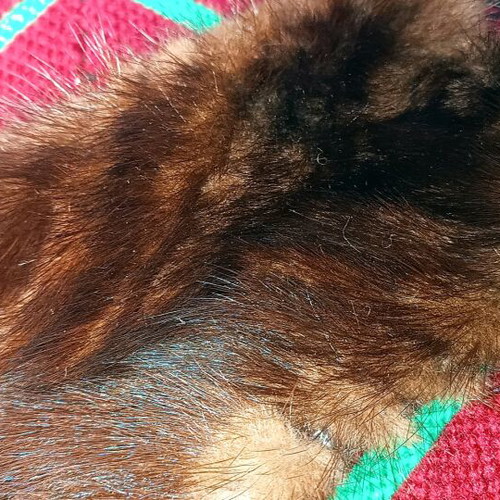Fox fur women's collar used, natural fur