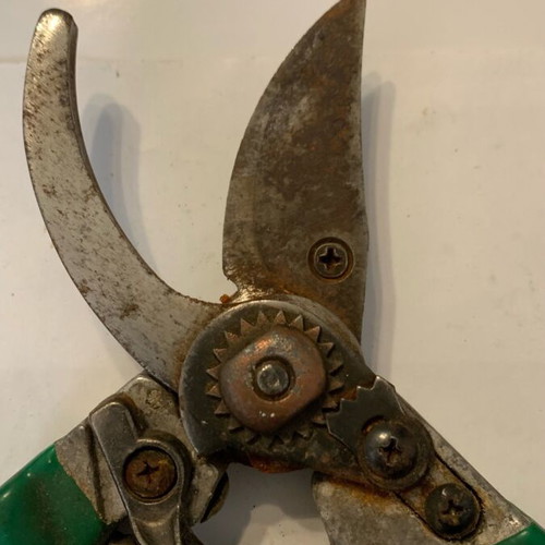 Pruning shears used