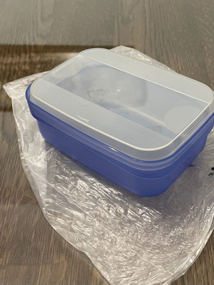 Tupperware Swing Box 0.7lt