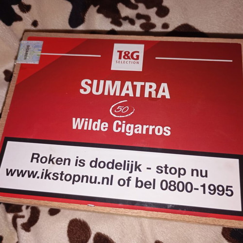 T&G Selection Sumatra Wilde Cigarros Wooden Box like new, empty