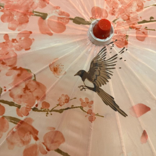 Chinese Pink Umbrella New With Almond Blossom And Bird Pattern