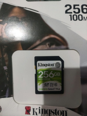 256GB карта с памет