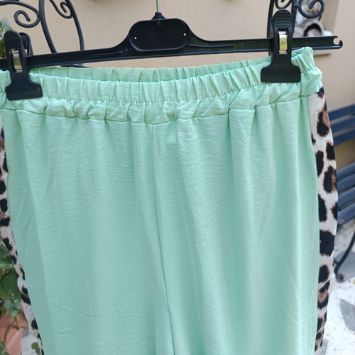 Set with Mint Color Pants and Sleeveless Leopard Print Top New