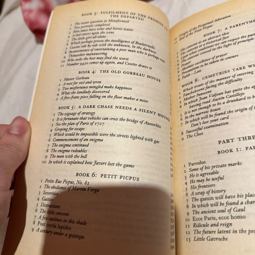 Book Les Misérables by Victor Hugo Volume 1 used, Wordsworth Classics edition