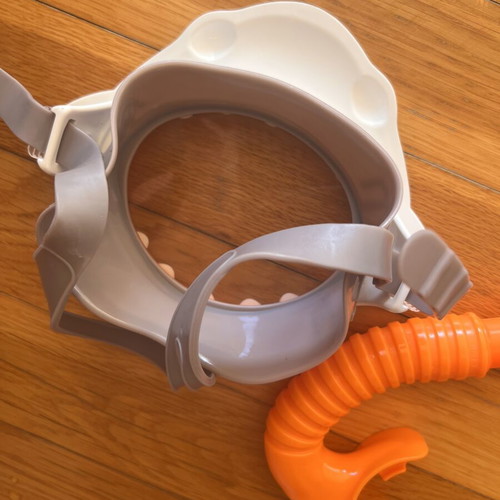 Intex Shark Fun Set children's snorkeling mask with snorkel
