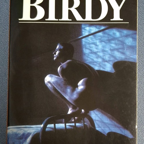 Book Birdy by William Wharton like new, English