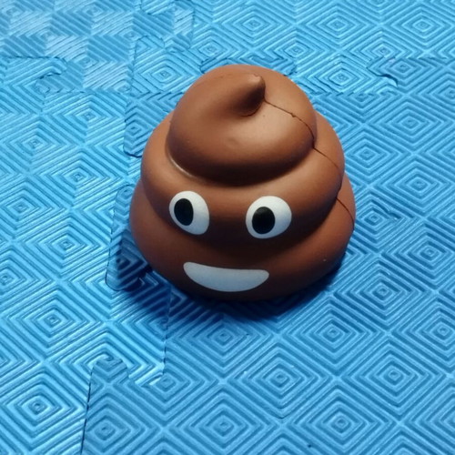Soft Poop Toy used