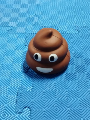 Soft Poop Toy used