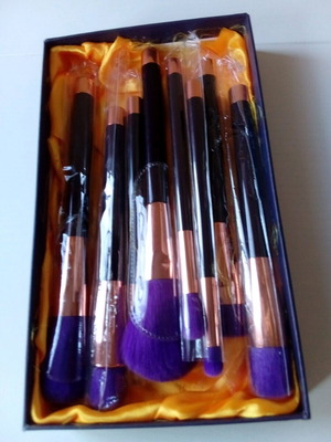 De'Lanci set of 8 professional makeup brushes new