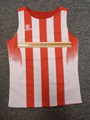 Jersey Olympiacos B.C. The Academy like new, official replica