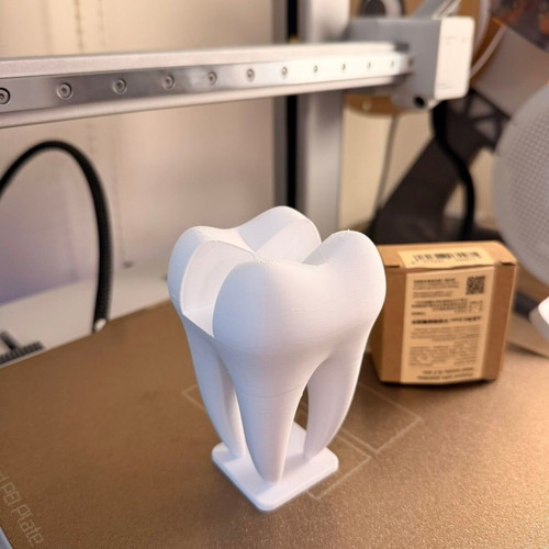 3D Printed Card Holder The Dental Tooth custom order, minimal design