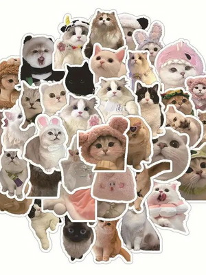Cat stickers new, set of 50 pieces