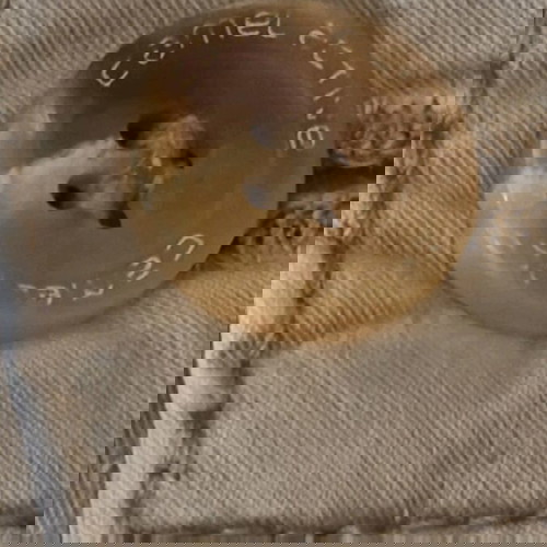 Παντελόνι ανδρικό Camel Active.