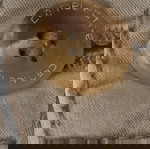 Παντελόνι ανδρικό Camel Active.