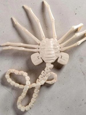 Segmented Facehugger decorative figure Alien, 50 cm
