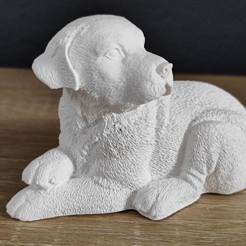 Ceramic Labrador Dog decorative used