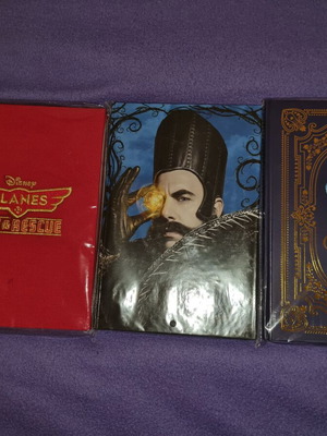 Disney notebooks new, set of all