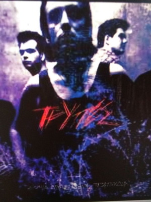 Trypes vinyl used, nine paid songs 1993