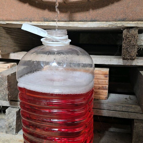 Traditional homemade wine premium quality, new, 5 liters