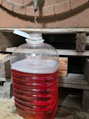 Traditional homemade wine premium quality, new, 5 liters