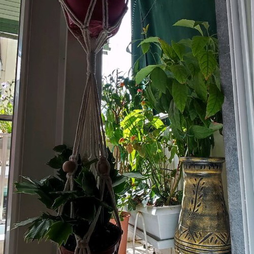 Macrame plant hanger new, double rope for pots