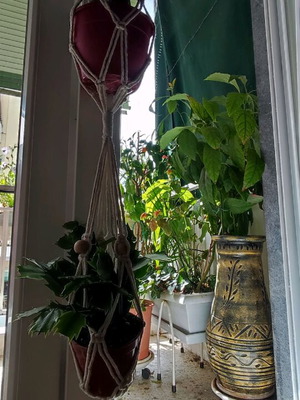 Macrame plant hanger new, double rope for pots