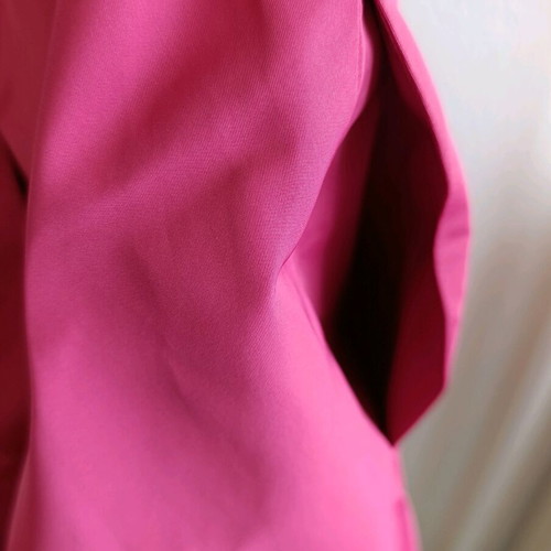 BCBG Max Azria Official Dress, XXS