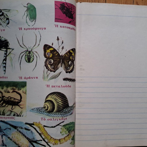 Vintage Zoology and Natural History Notebooks like new, set of 2