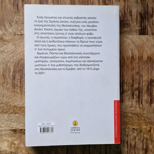 Novel book in excellent condition