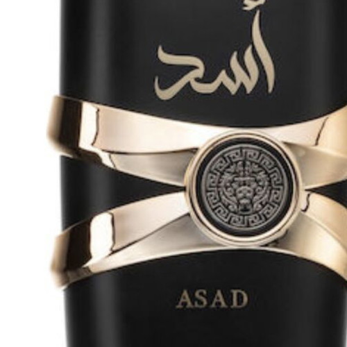 Asad Eau de Parfum 100 ml