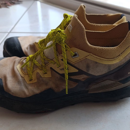 Salomon trail running shoes size 42.5